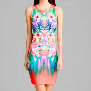 Laundry NWT scuba dress Size M sleeveless gorgeous by Shelli Segal LA